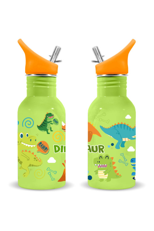 Botella 500ml WR DINO verde