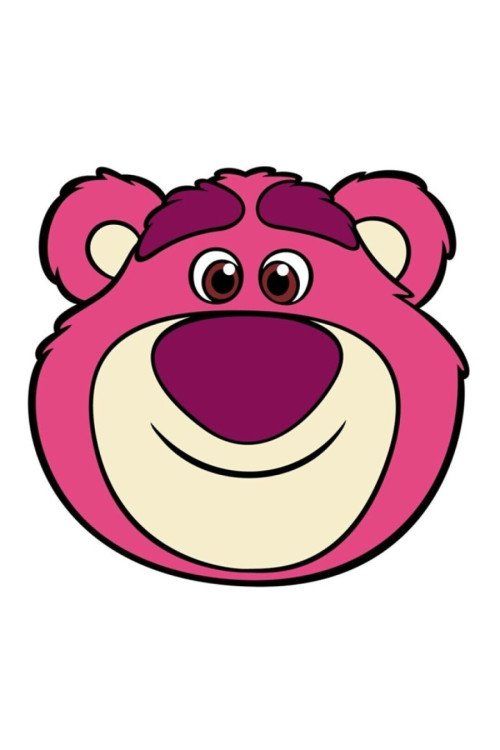 Cojin LOTSO