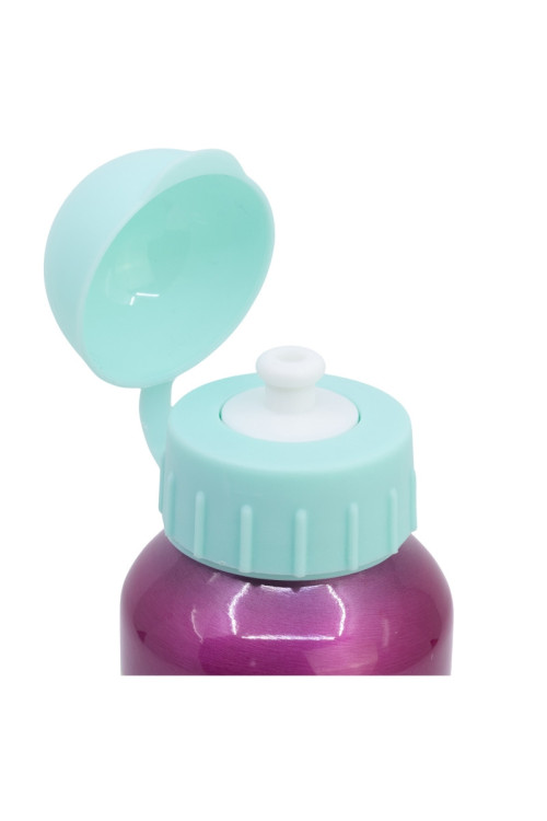 Botella 500ml aluminio PAW