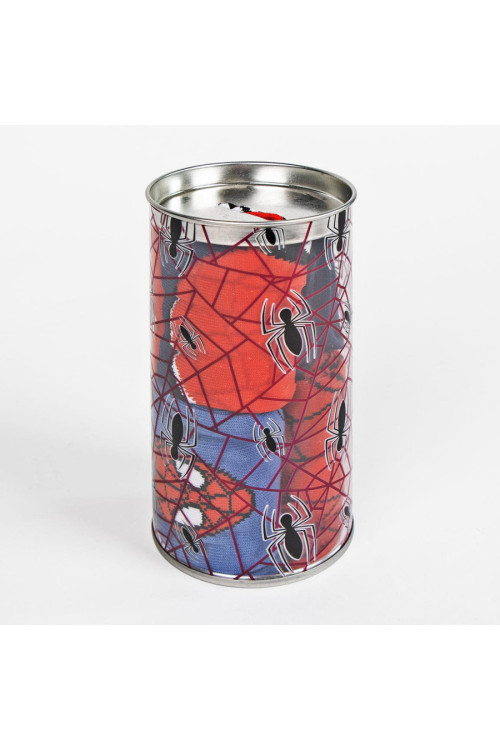 Set 4 calcetines hucha SPIDER