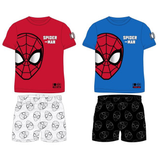 Conjunto SPIDER