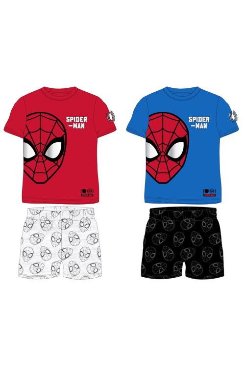 Conjunto SPIDER