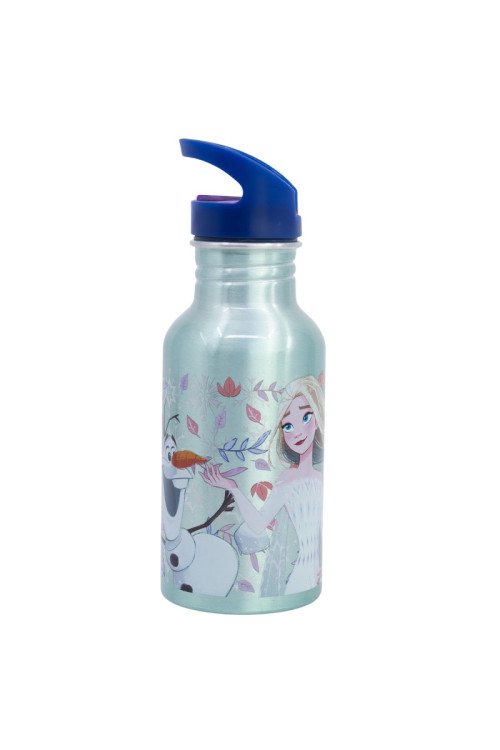 Botella nevada 545ml FROZEN
