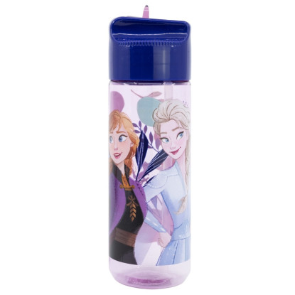 Botella hidro 540ml FROZEN trust the journey
