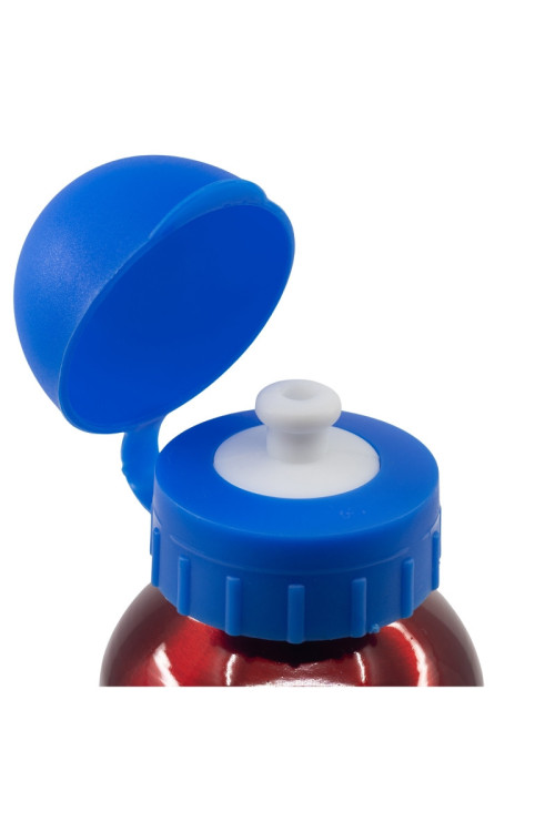 Botella 500ml aluminio SPIDER arachnid