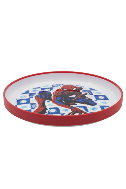 Plato antidesliz. SPIDER arachnid