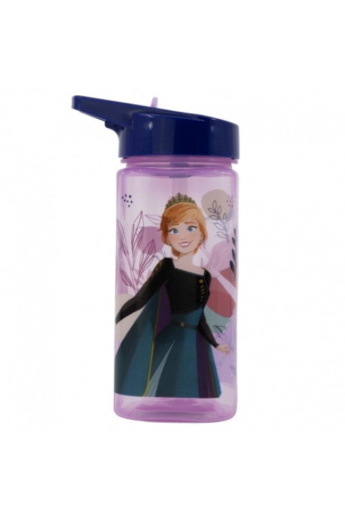Botella 510ml FROZEN square
