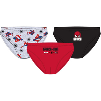 Set 3 slip SPIDER