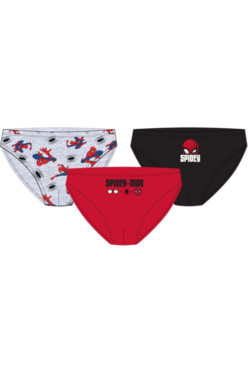 Set 3 slip SPIDER