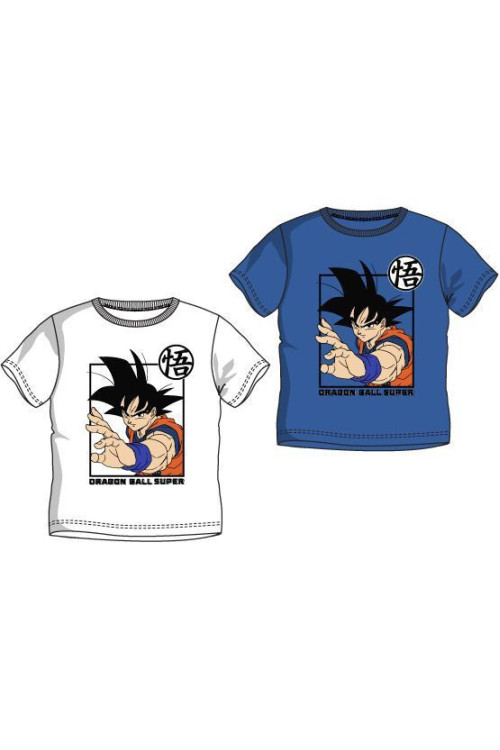 Camiseta DRAGON BALL