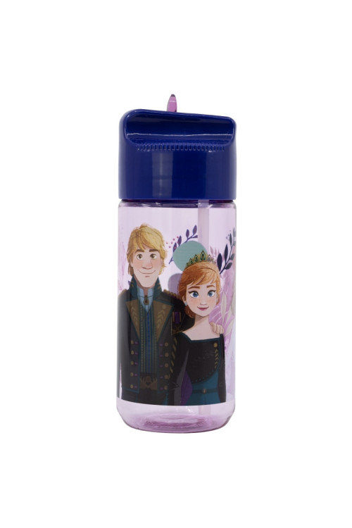 Botella hidro 450ml FROZEN