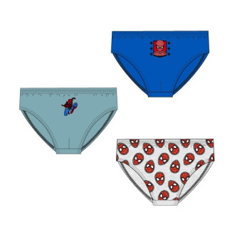Set 3 slip SPIDER