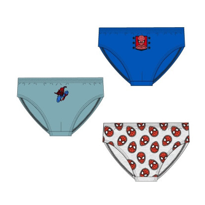 Set 3 slip SPIDER