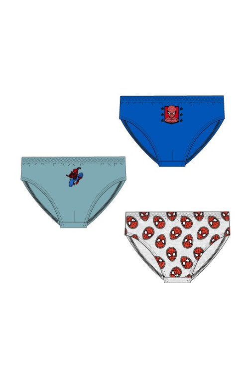 Set 3 slip SPIDER