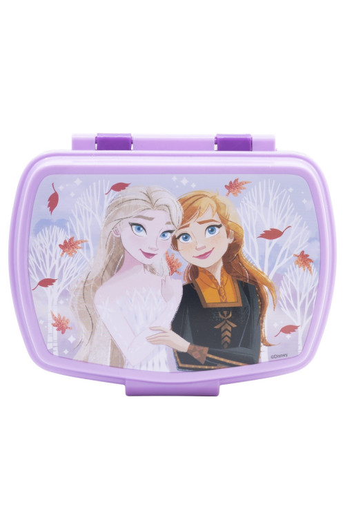 	Tupper rectangular FROZEN