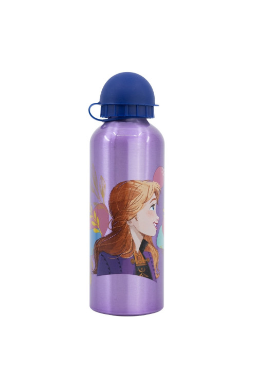Botella 500ml aluminio FROZEN