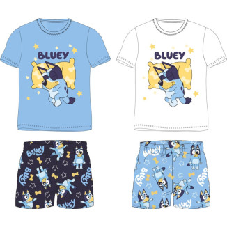Conjunto 2pc BLUEY