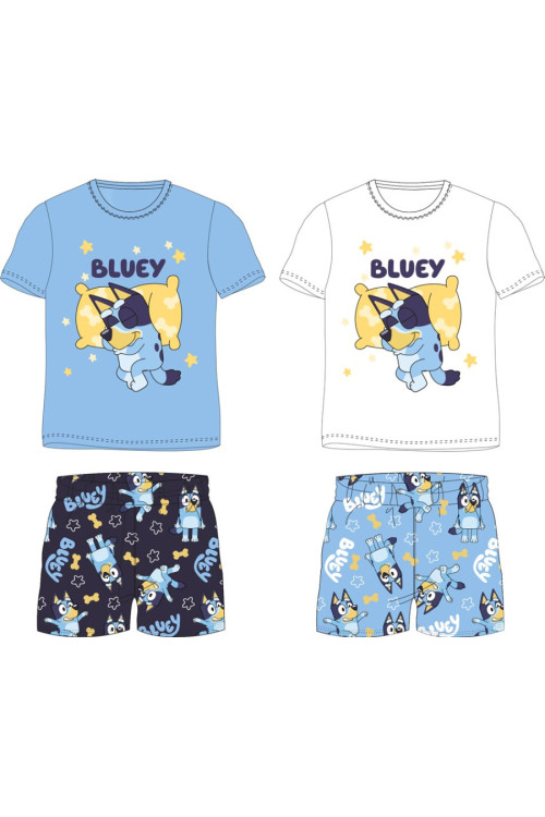 Conjunto 2pc BLUEY