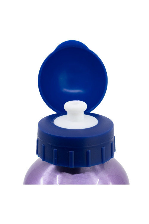 Botella 500ml aluminio FROZEN
