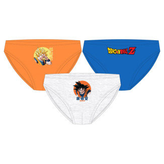 Set 3 slip DRAGON