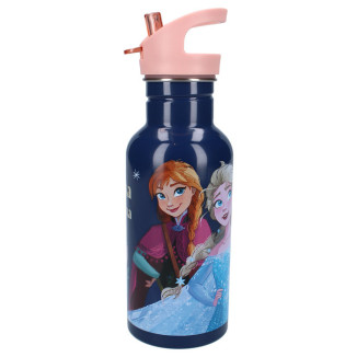 Botella 500ml FROZEN