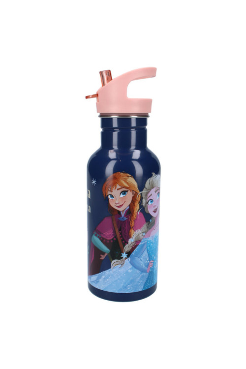 Botella 500ml FROZEN