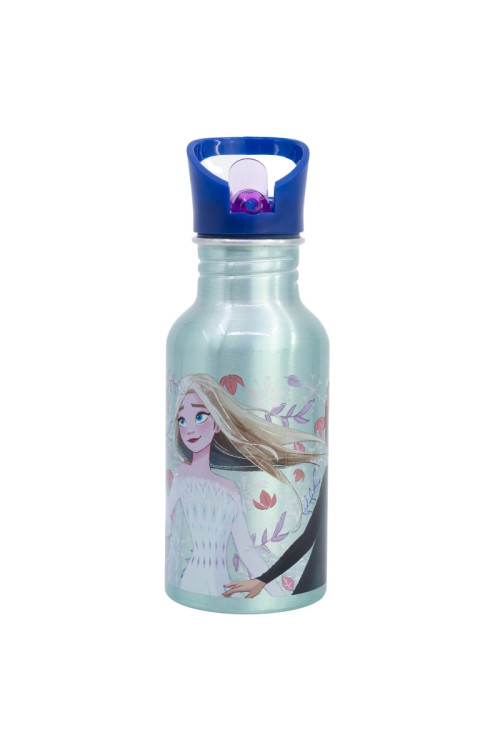 Botella nevada 545ml FROZEN
