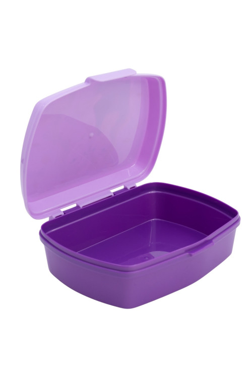 	Tupper rectangular FROZEN