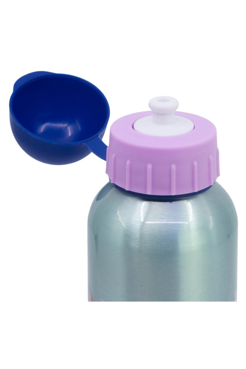 Botella 500ml aluminio FROZEN