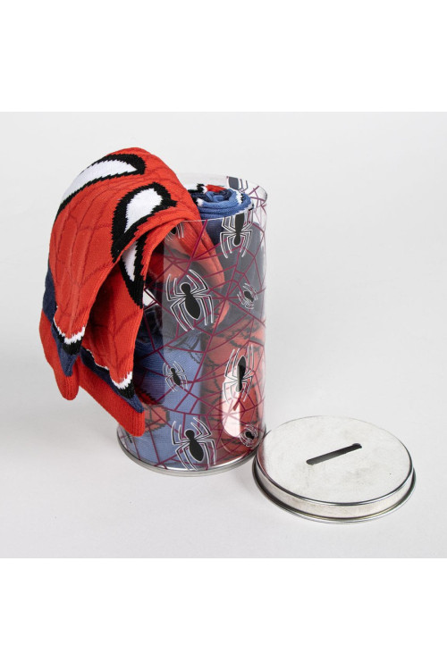 Set 4 calcetines hucha SPIDER