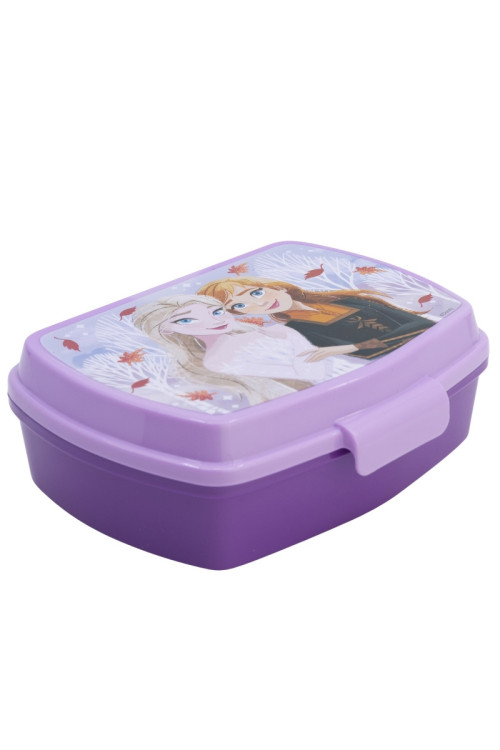 	Tupper rectangular FROZEN