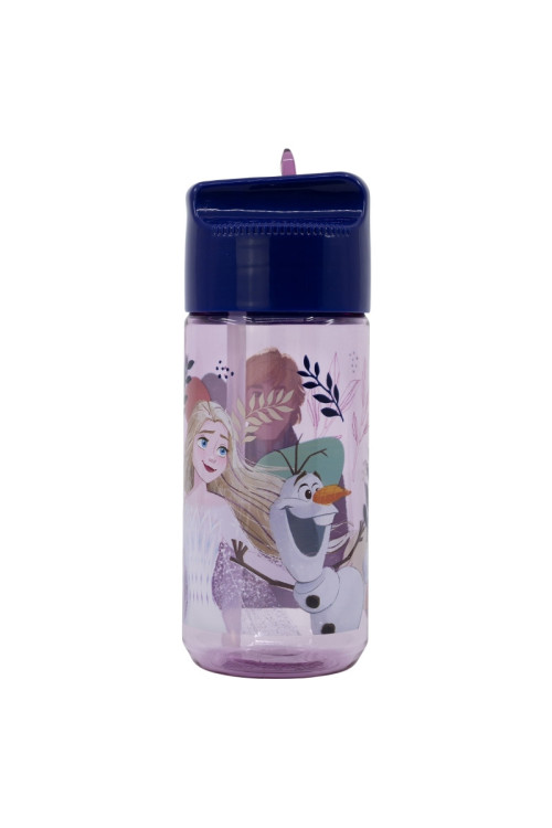 Botella hidro 450ml FROZEN