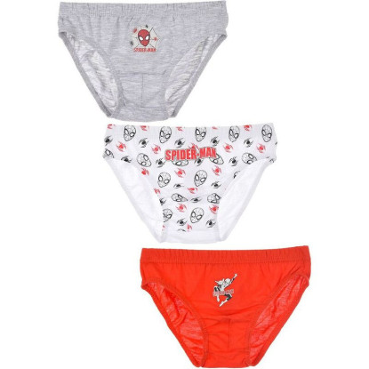Set 3 slip SPIDER