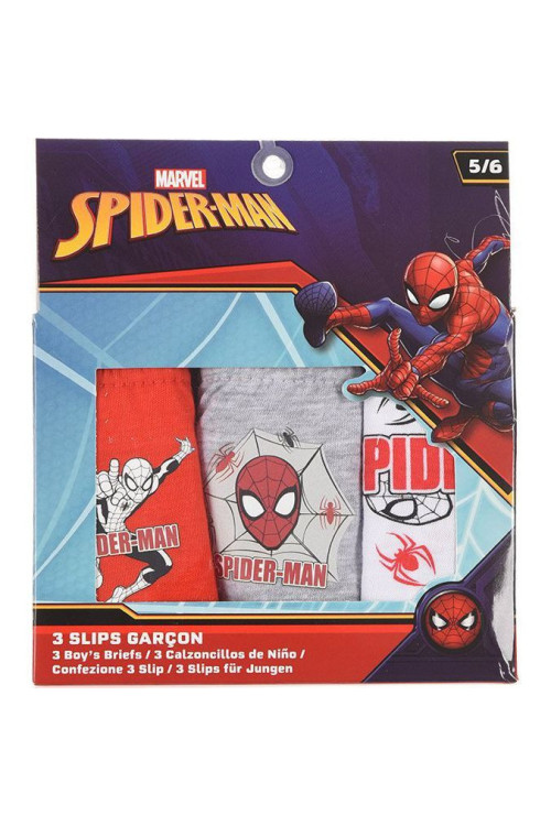 Set 3 slip SPIDER