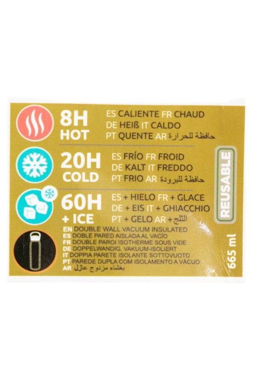 Termo glam SS 665ml POKEMON