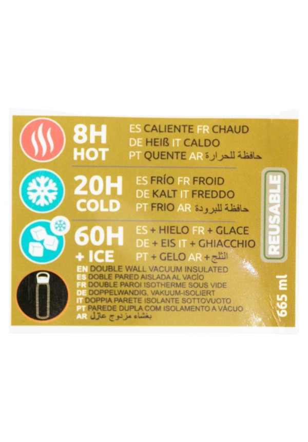 Termo glam SS 665ml POKEMON