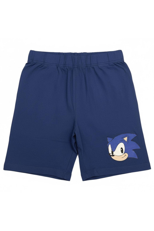 Conjunto SONIC
